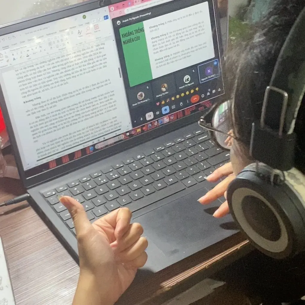 Màn hình làm việc với dữ liệu nghiên cứu